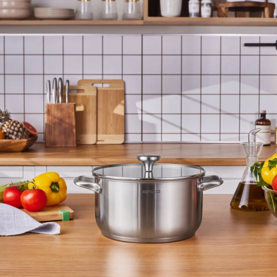 Karaca Elite Edelstahl-Induktions-Kochtopf mit Deckel, 24 cm, Silber