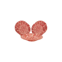 Karaca Home Coral 5-teiliges Dekorative Obstteller Set