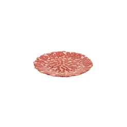 Karaca Home Coral 5-teiliges Dekorative Obstteller Set