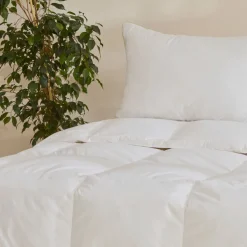 Natural Down Decke 200x200