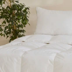 Natural Down Decke 200x200